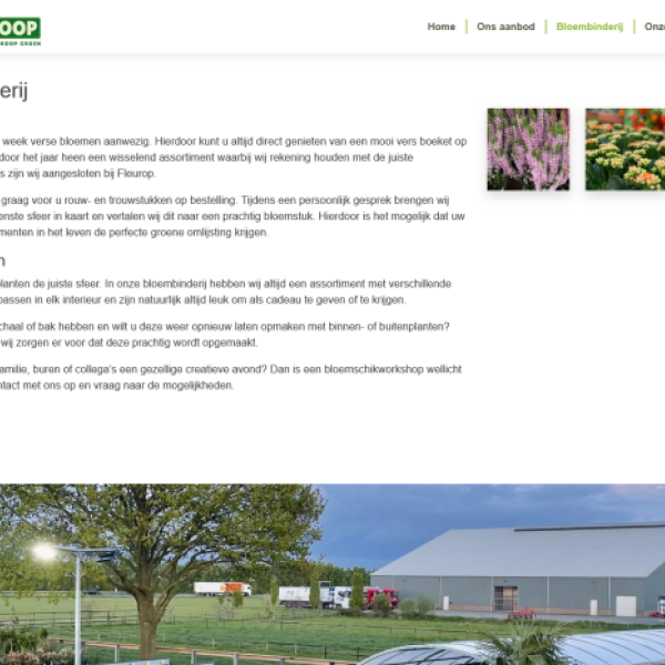 Affordable Greenery & Expert Planting — Groenkoop Garden Centre 3